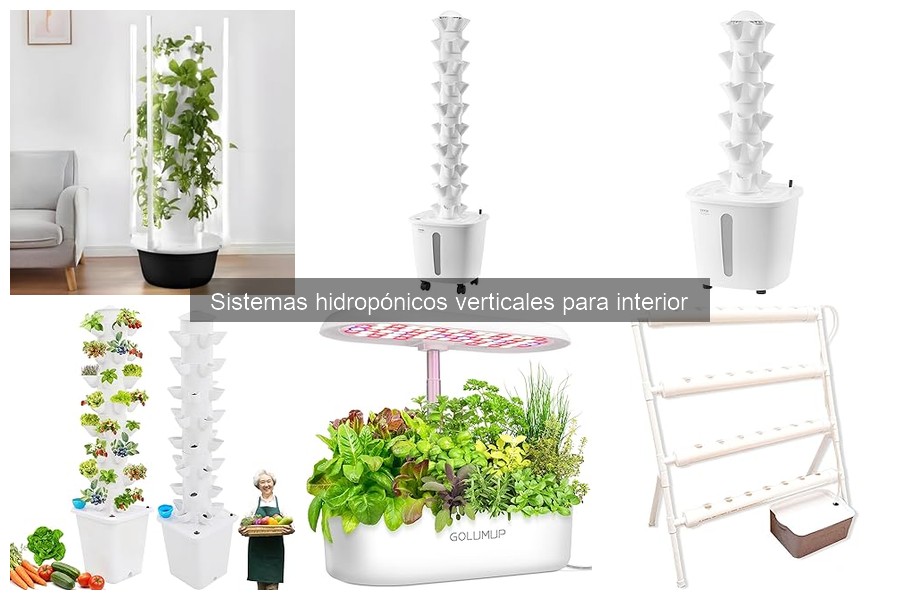 ¿Qué es un sistema hidropónico vertical y cómo funciona?