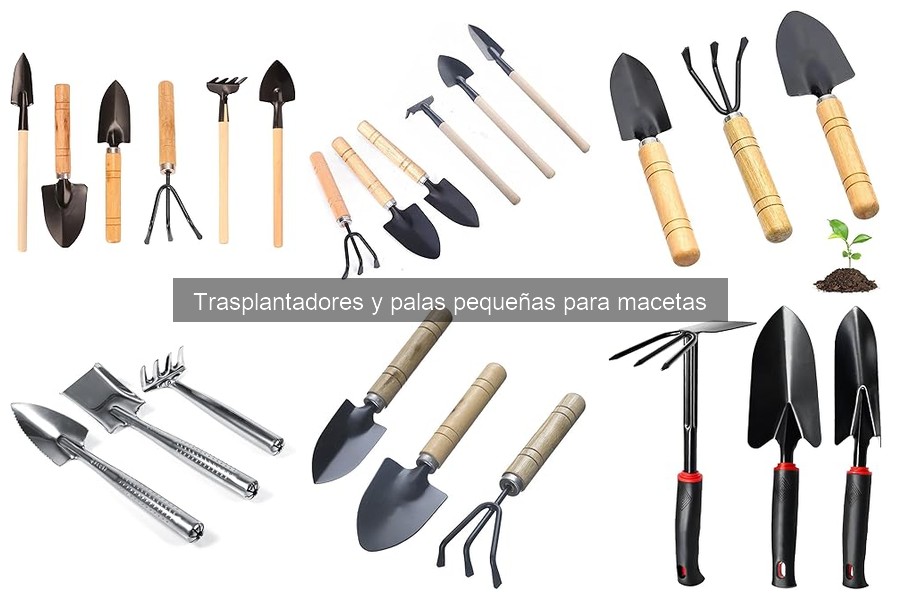 ¿Qué es un trasplantador y su uso en macetas?