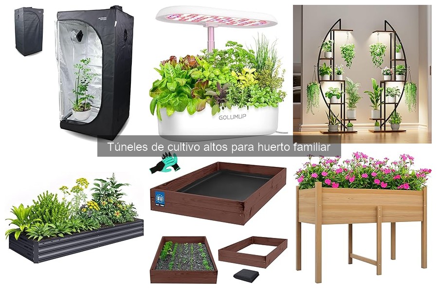 ¿Qué es un túnel de cultivo alto? Características y ventajas