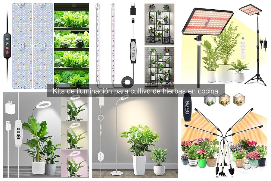 Qué iluminación es mejor para cultivar hierbas en casa