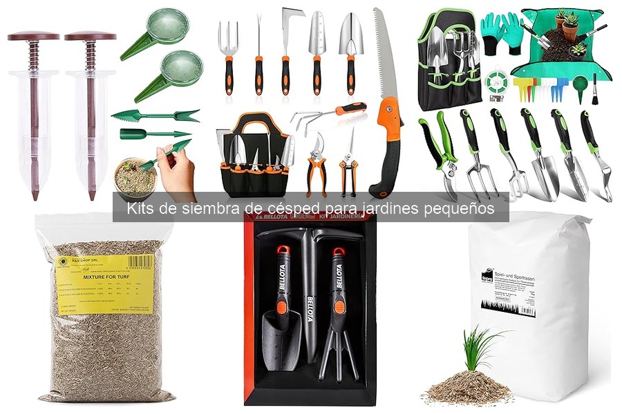 ¿Qué incluye un kit de siembra de césped?