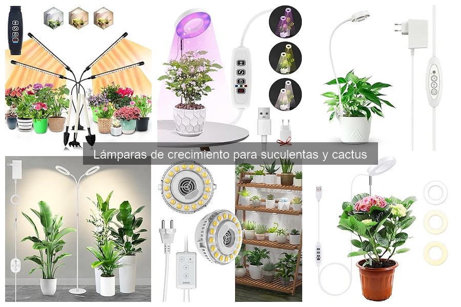 ¿Qué son las lámparas de crecimiento para suculentas y cactus?