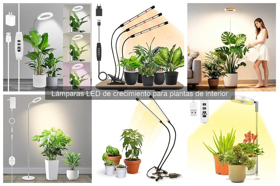 Qué son las lámparas LED de crecimiento para plantas de interior