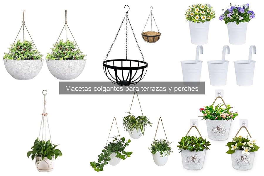 ¿Qué son las macetas colgantes? Características y uso