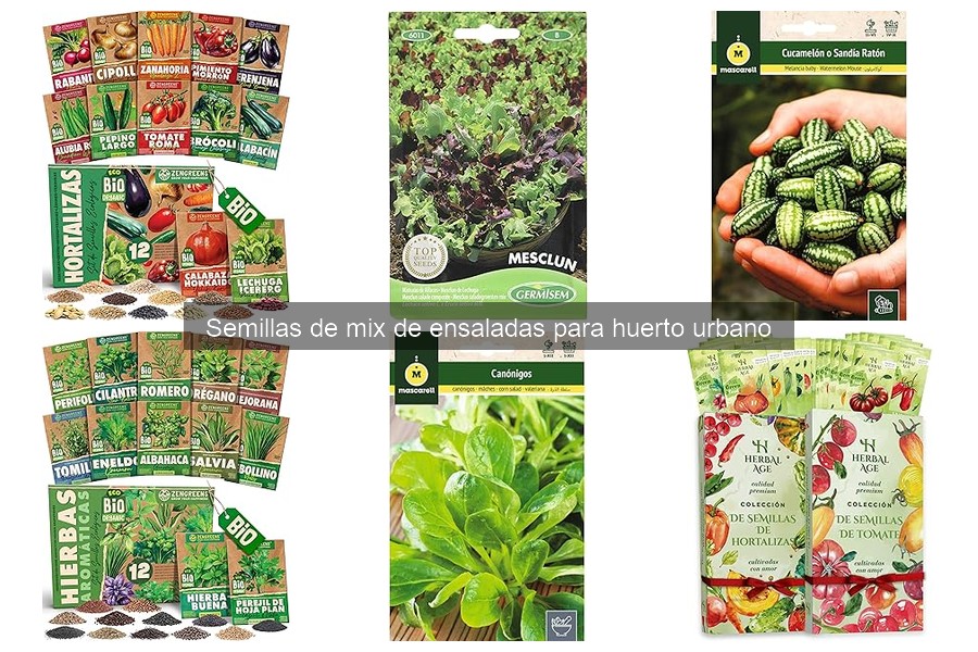 ¿Qué son las semillas de mix de ensaladas? Beneficios y características