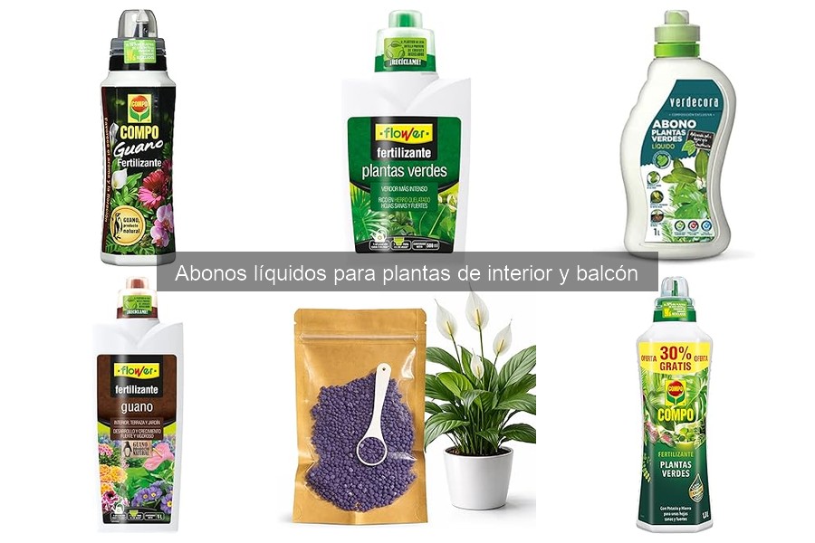 ¿Qué son los abonos líquidos para plantas? Guía esencial