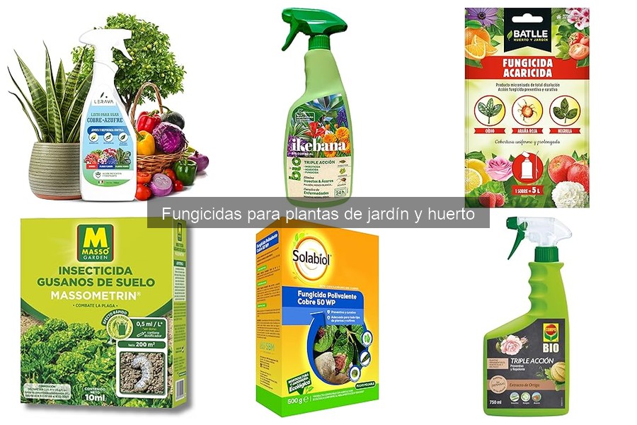 ¿Qué son los fungicidas y cómo funcionan en tu jardín?