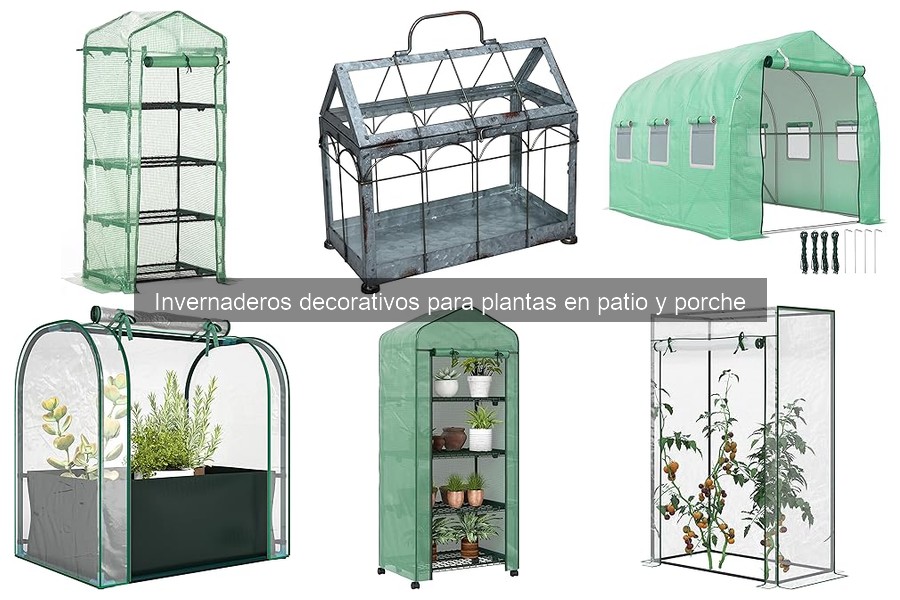 ¿Qué son los invernaderos decorativos para plantas?
