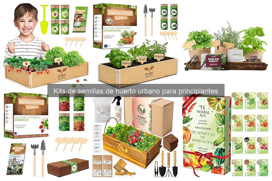¿Qué son los kits de semillas de huerto urbano para principiantes?