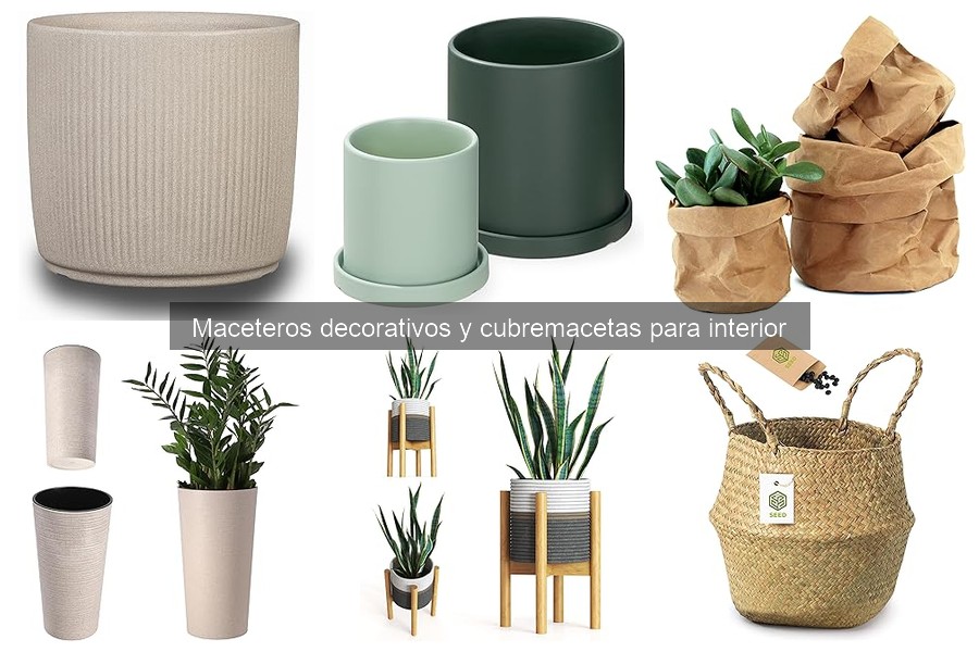 ¿Qué son los maceteros decorativos? Características y tipos