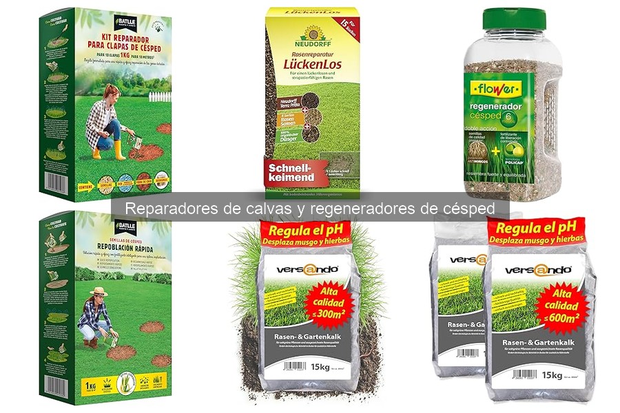 Qué son los reparadores de calvas y cómo regeneran tu césped