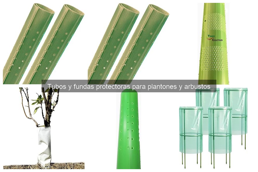 ¿Qué son los tubos y fundas protectoras para plantones?