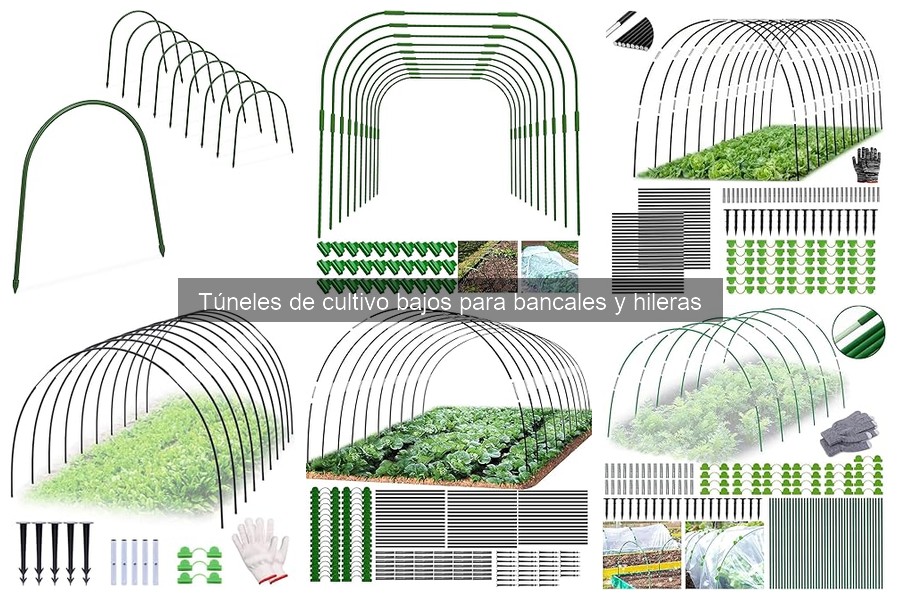 ¿Qué son los túneles de cultivo bajos? Guía completa