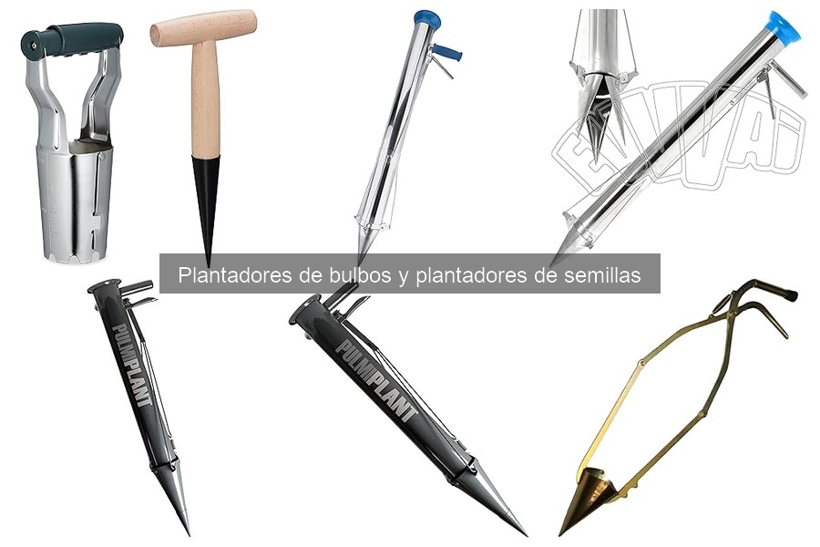 ¿Qué tamaño de plantador de semillas elegir para tu cultivo?