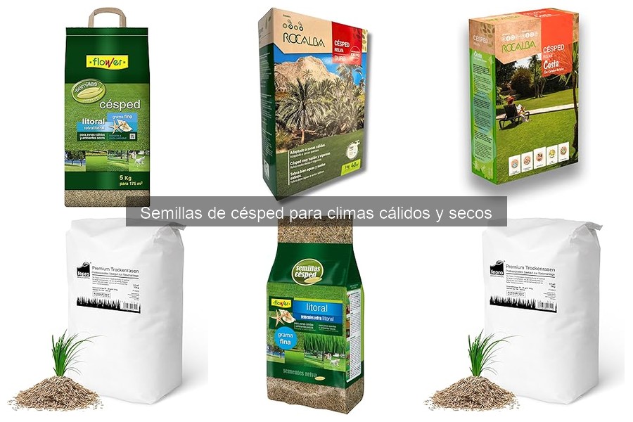 Recomendaciones de riego para césped en climas cálidos