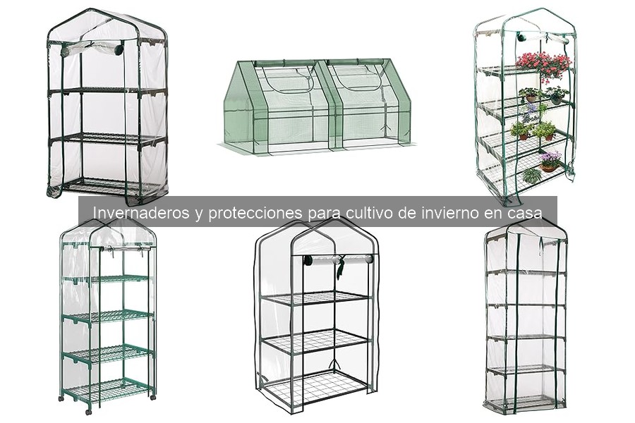 Rentabilidad de cultivar en un invernadero en casa