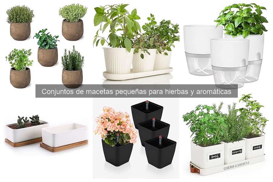 Reutiliza macetas pequeñas para hierbas: Ideas creativas