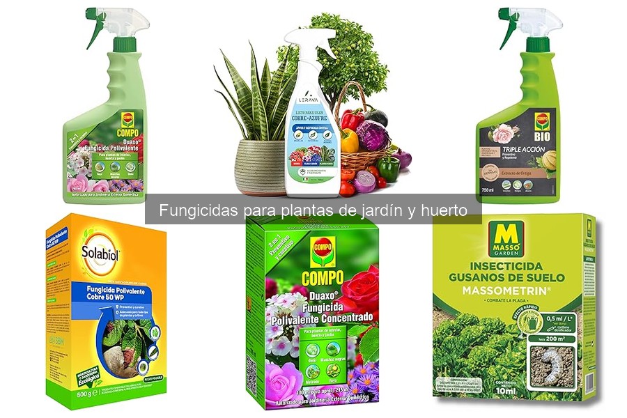 Seguridad al usar fungicidas en casa: Guía práctica