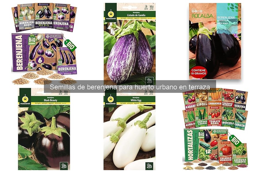 Semillas de berenjena: ¿Cuánto tiempo tardan en germinar?