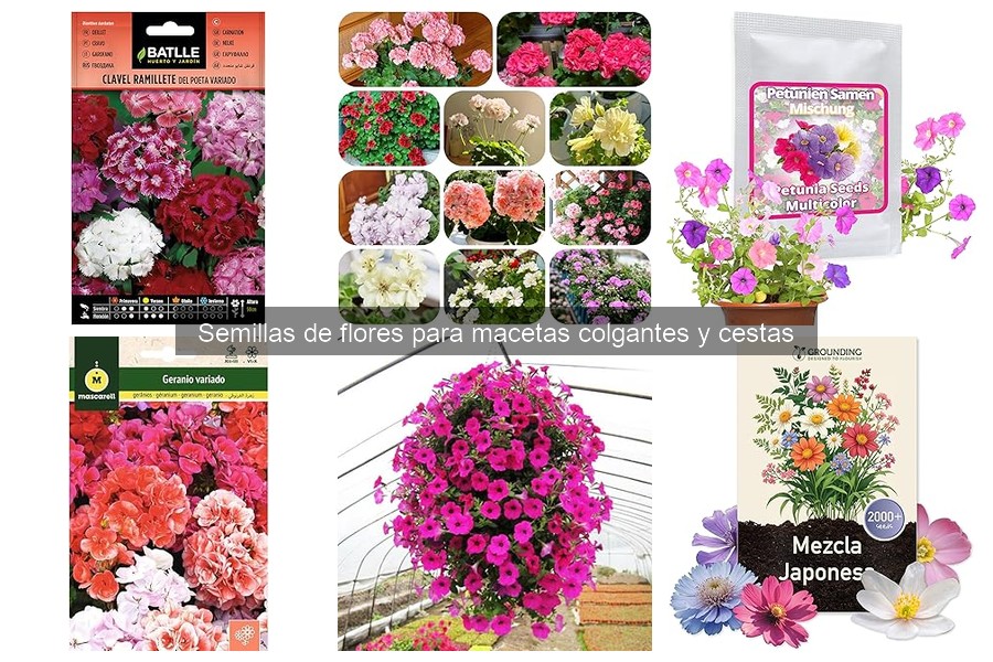 Semillas de flores para macetas colgantes: Guía completa