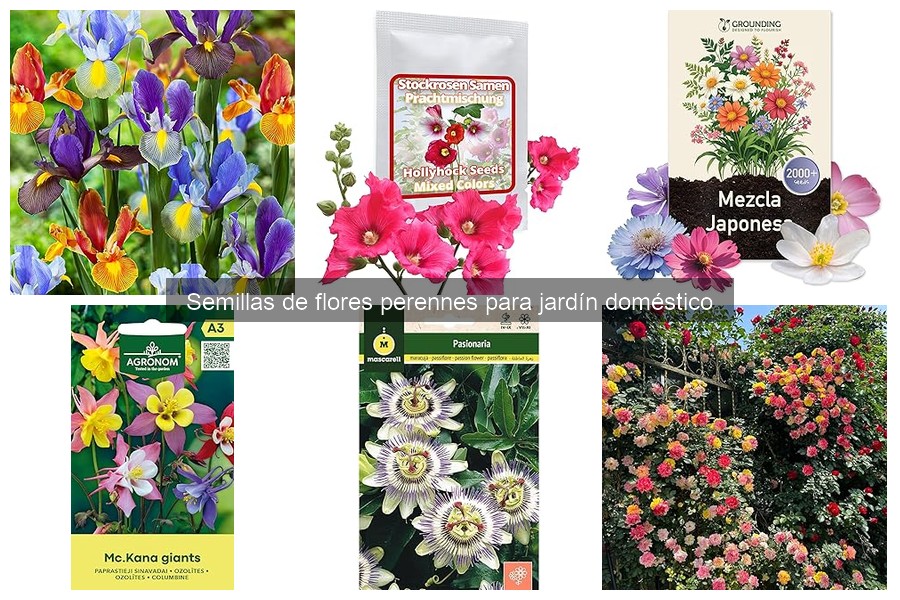 Semillas de Flores Perennes: Características y Beneficios