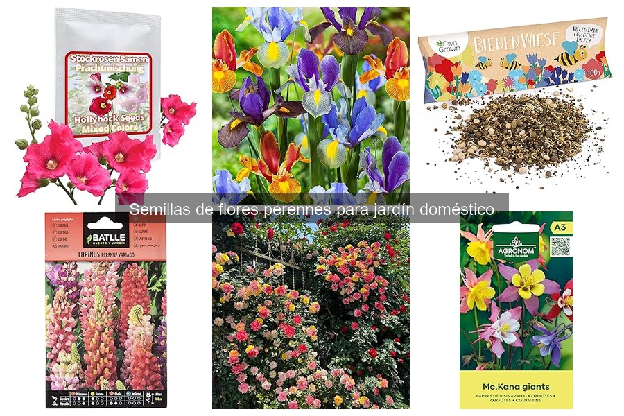Semillas de flores perennes: dónde comprarlas baratas