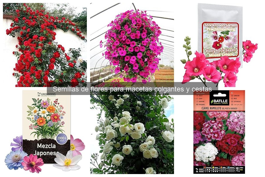 Semillas de flores resistentes para exteriores: guía práctica