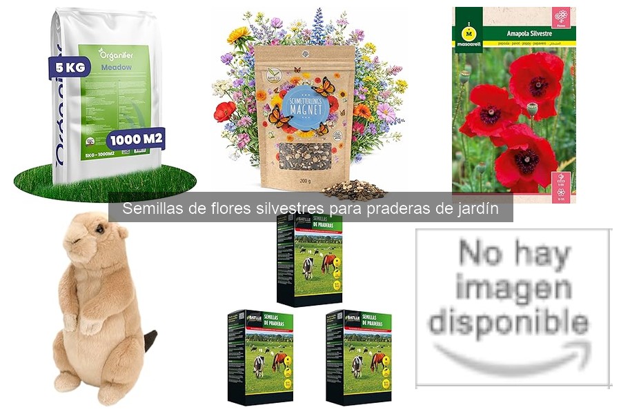 Semillas de Flores Silvestres: Origen y Características