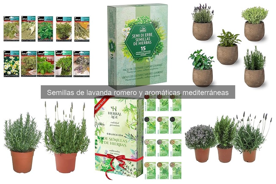 Semillas de hierbas aromáticas y sus propiedades medicinales