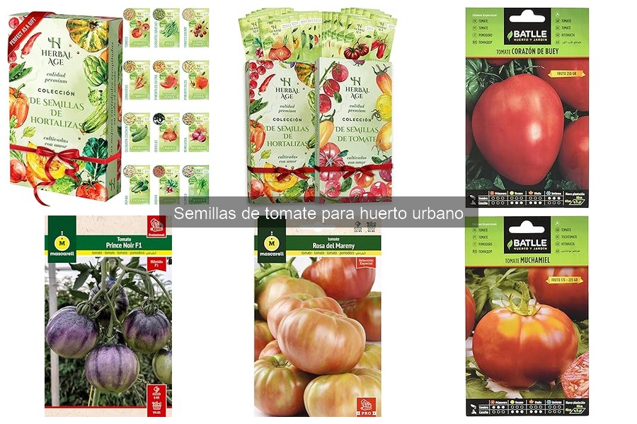 Semillas de tomate ideales para jardines verticales