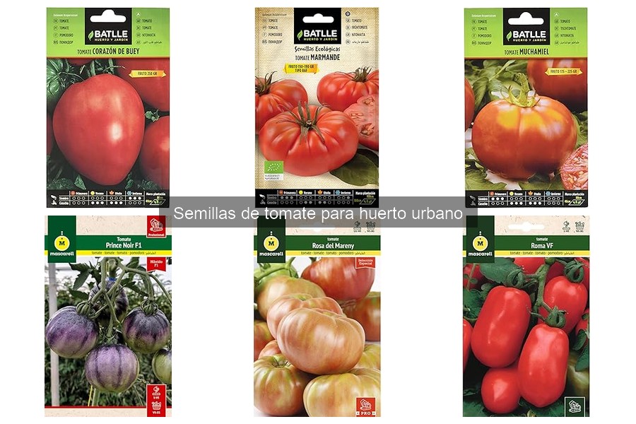 Semillas de tomate orgánicas vs. convencionales: comparación