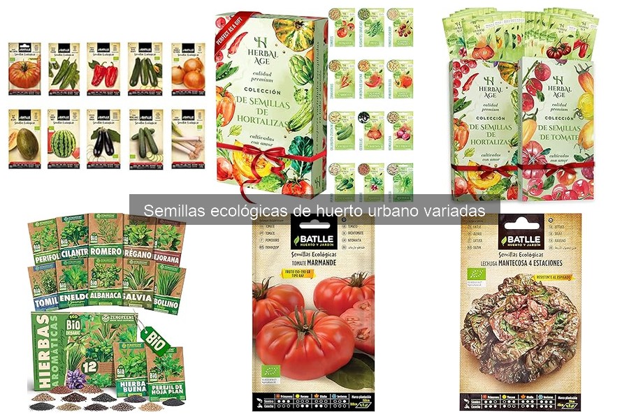Semillas ecológicas de huerto urbano: beneficios y usos
