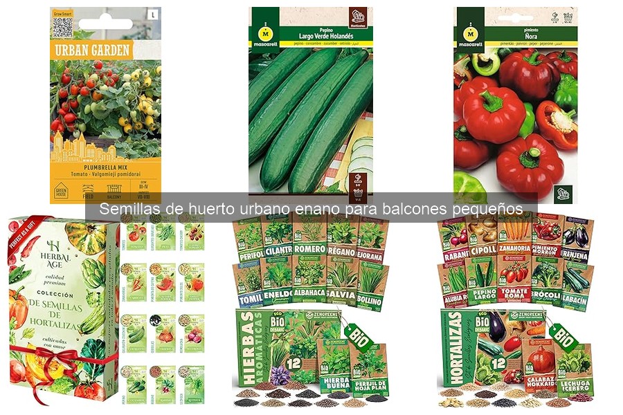 Semillas ideales para huertos enanos según tu clima