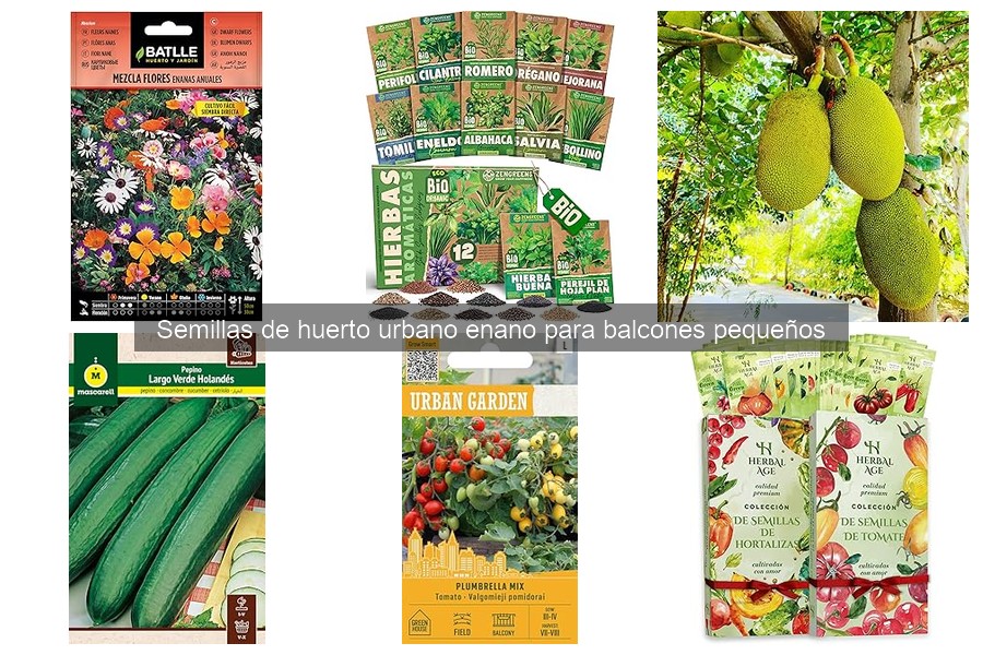 Semillas ideales para huertos urbanos enanos en balcones
