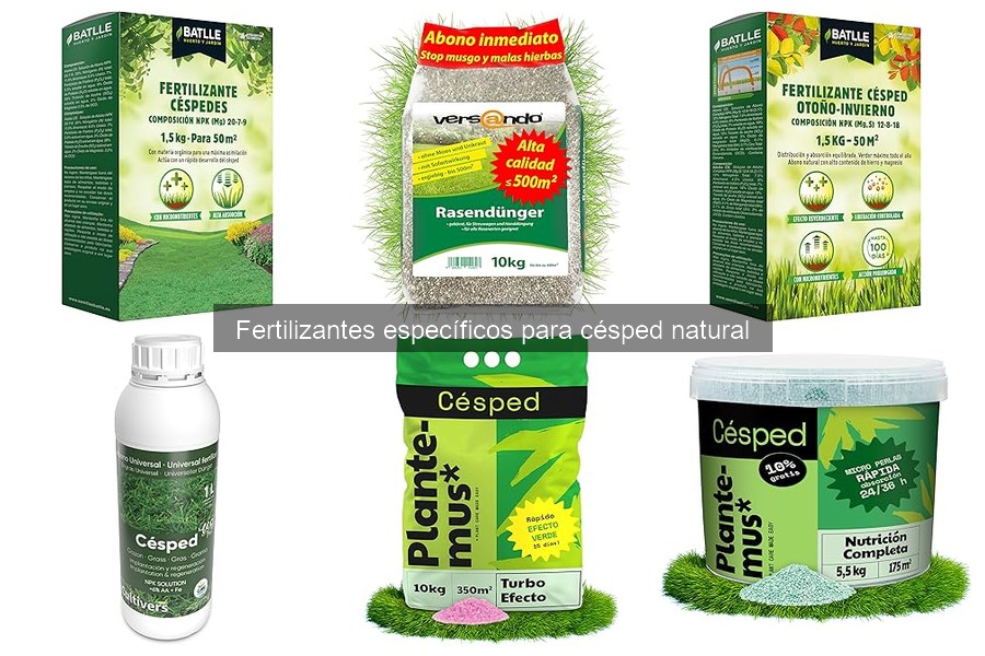 Señales de que tu césped necesita fertilizante: guía práctica