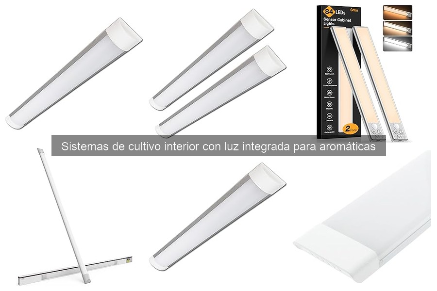 Sistemas de Cultivo Interior con Luz para Aromáticas