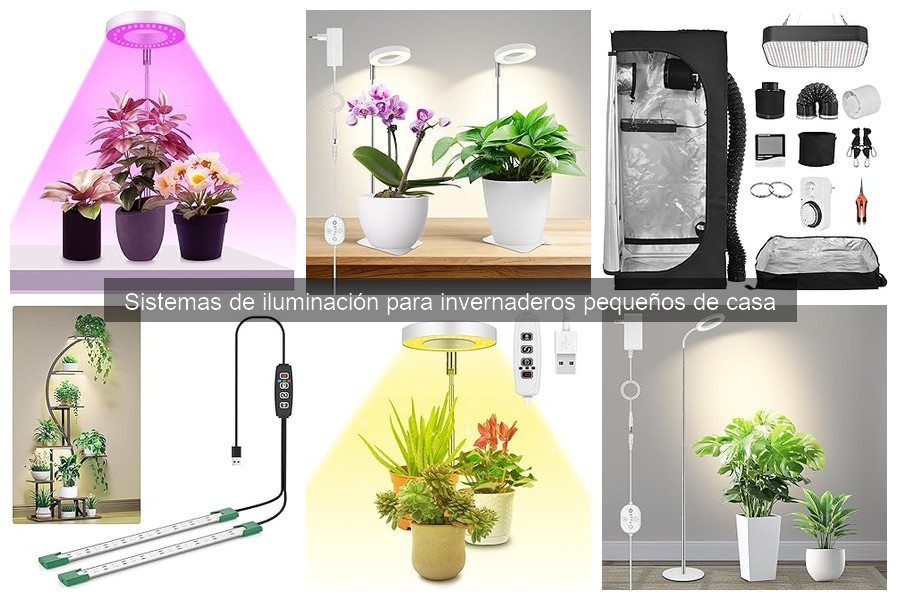 Sistemas de iluminación ideales para invernaderos pequeños