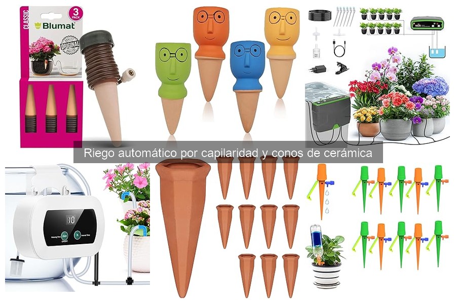 Solucionando problemas comunes del riego por capilaridad