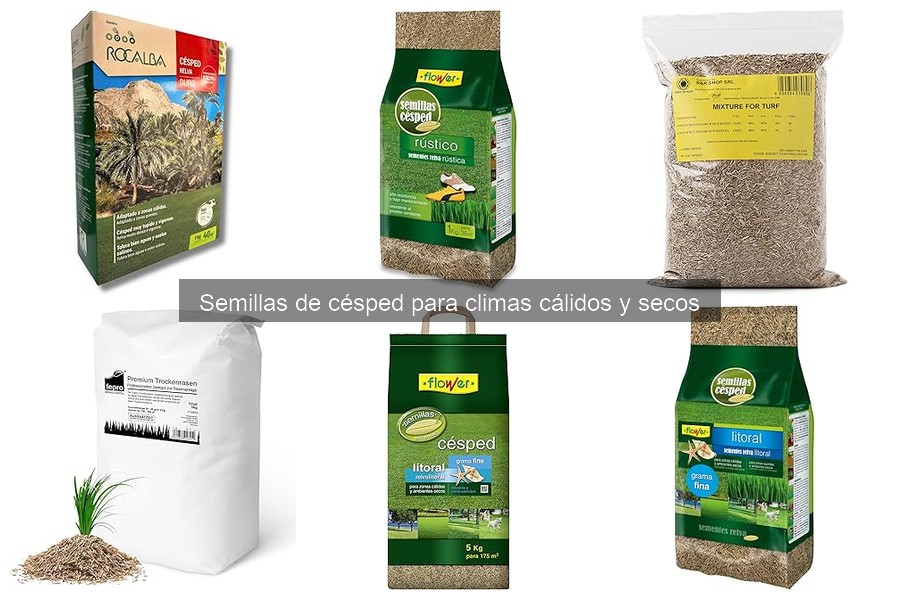 Soluciones para plagas en césped de climas cálidos