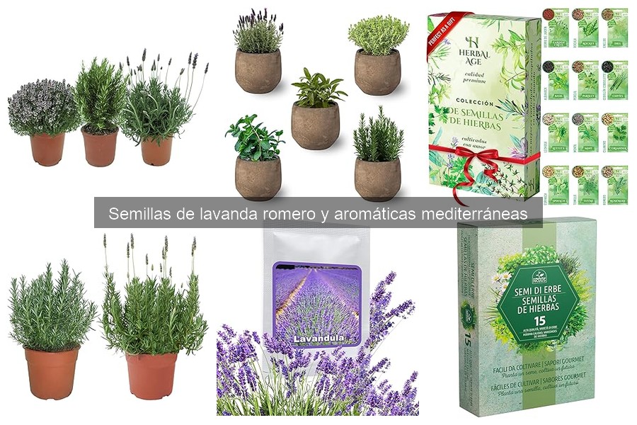 Soluciones para Problemas Comunes al Cultivar Romero