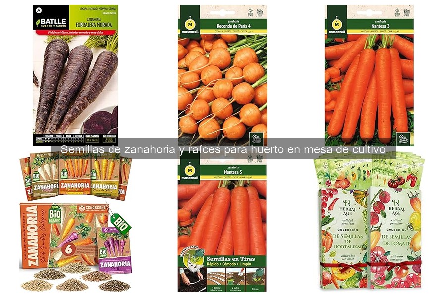 Soluciones si tus semillas de zanahoria no germinan