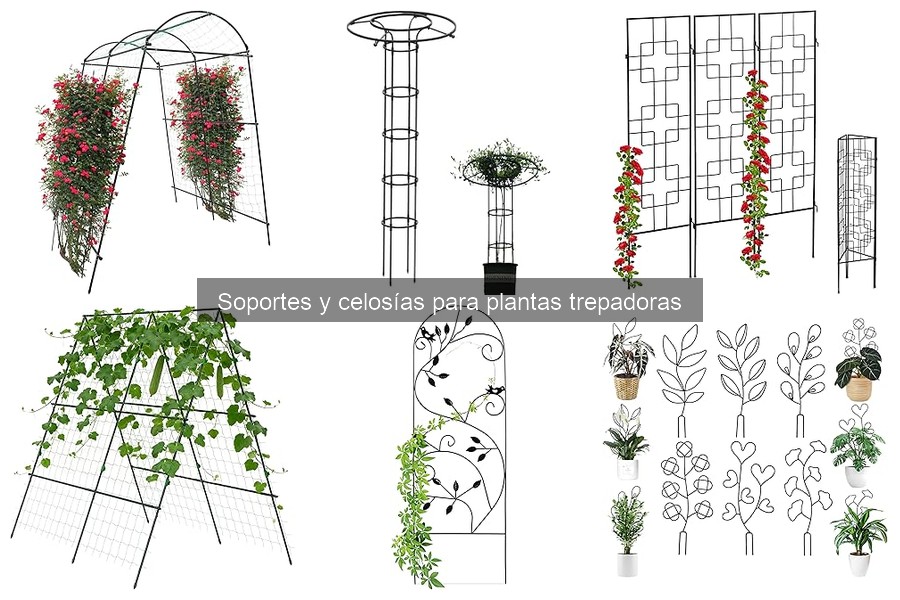 Soportes y celosías para plantas trepadoras: ¿Qué son?