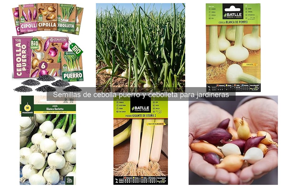 Sustrato ideal para cebolla puerro y cebolleta en jardineras