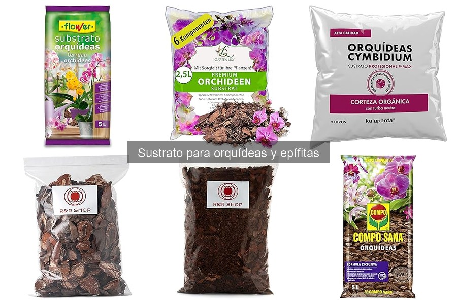 Sustrato para Orquídeas y Epífitas: Características Esenciales