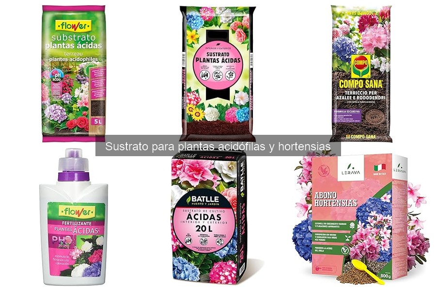 Sustratos para plantas acidófilas: precios y dónde comprar
