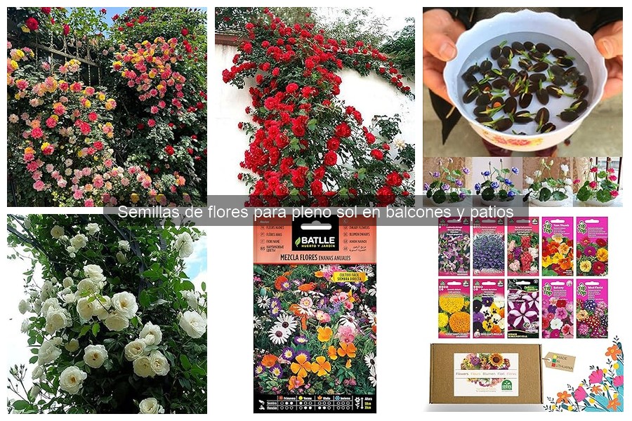 Temporada Ideal para Plantar Semillas de Flores en Balcones