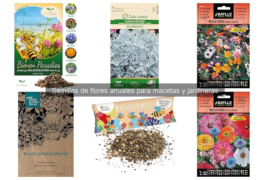 Tendencias en Flores Anuales para Macetas y Jardineras