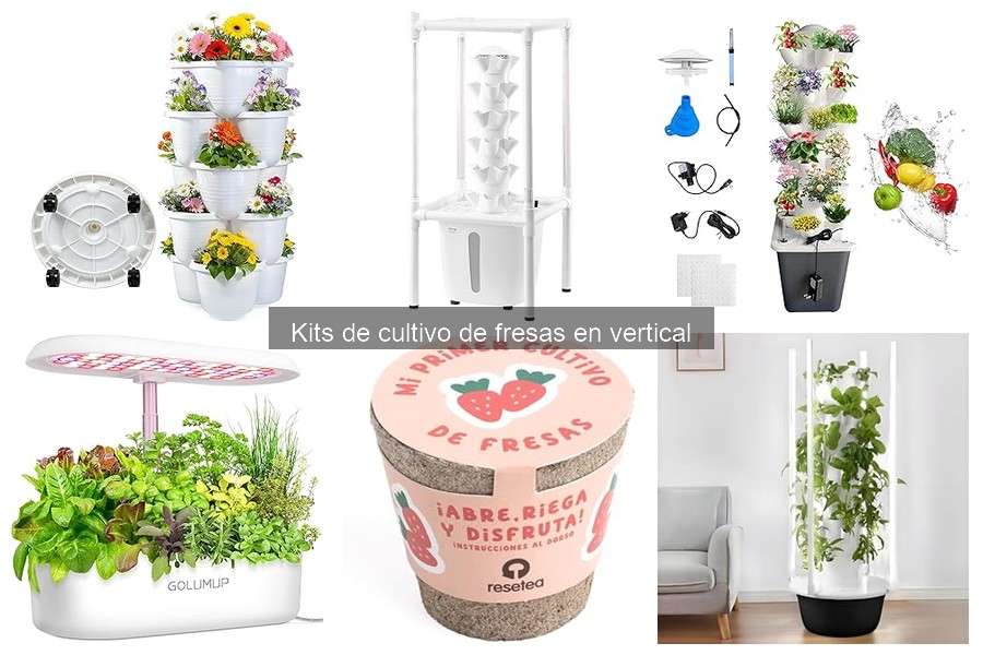 Testimonios: Kits de Cultivo de Fresas en Vertical