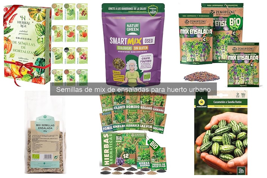 Testimonios sobre Cultivo de Mix de Ensaladas Urbanas