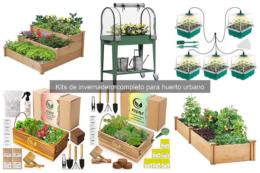 Testimonios sobre kits de invernadero para huertos urbanos